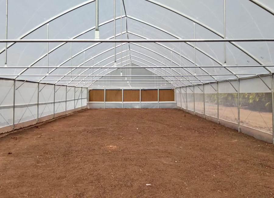 alphawks-greenhouse-tunnel0002