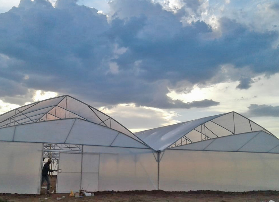 alphawks-greenhouse-tunnel0004