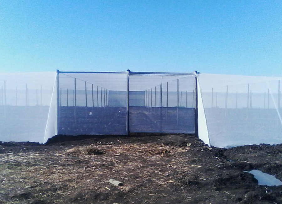 alphawks-net-house-0005